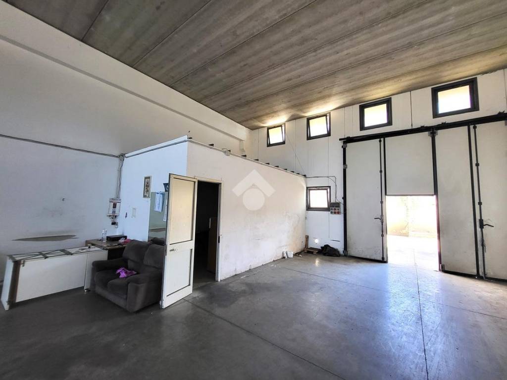 immagine annuncio 10 di 13