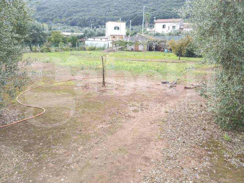 immagine annuncio 2 di 8