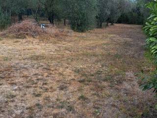 Terreno residenziale in vendita a soriano nel cimino via francesco fanti, 12