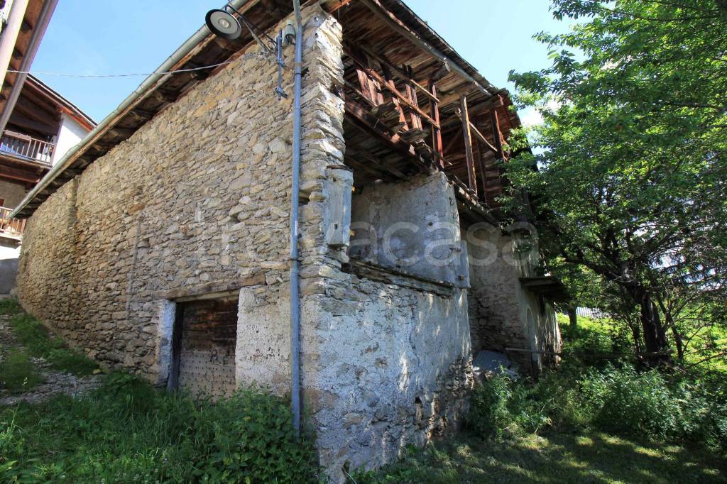immagine annuncio 4 di 7