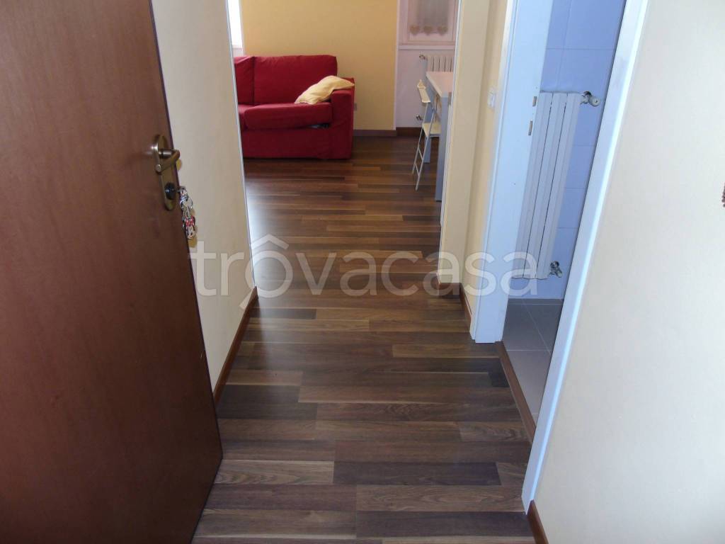 immagine annuncio 11 di 14