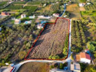 Terreno agricolo in vendita a partinico contrada velez, snc