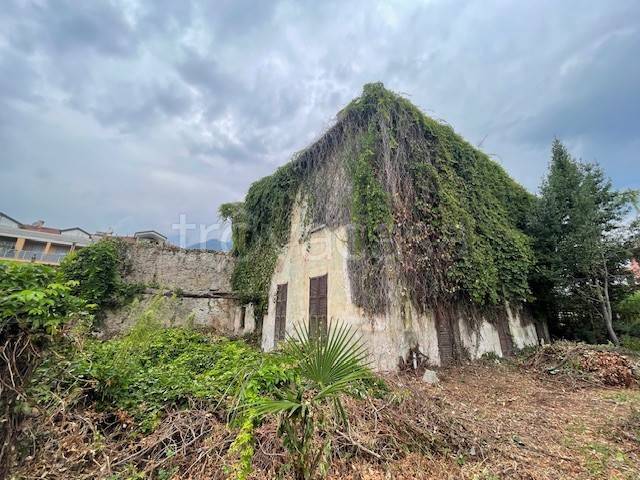 immagine annuncio 5 di 8