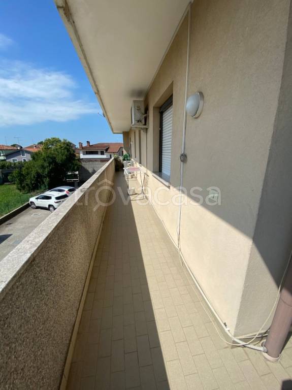 immagine annuncio 10 di 14