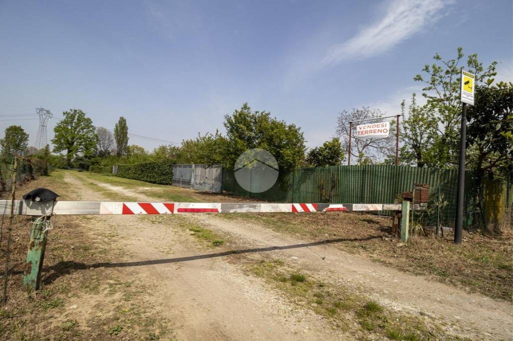 immagine annuncio 4 di 8