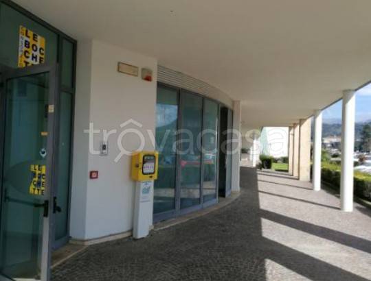 immagine annuncio 5 di 6