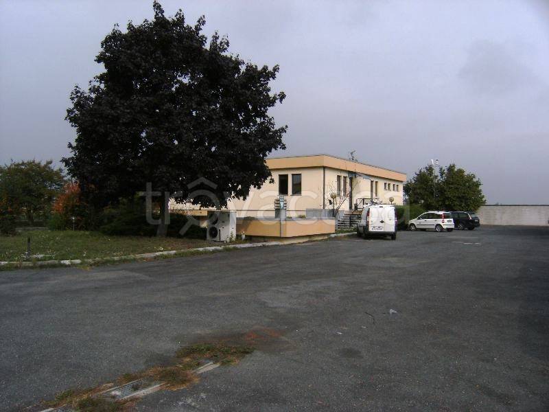immagine annuncio 2 di 13