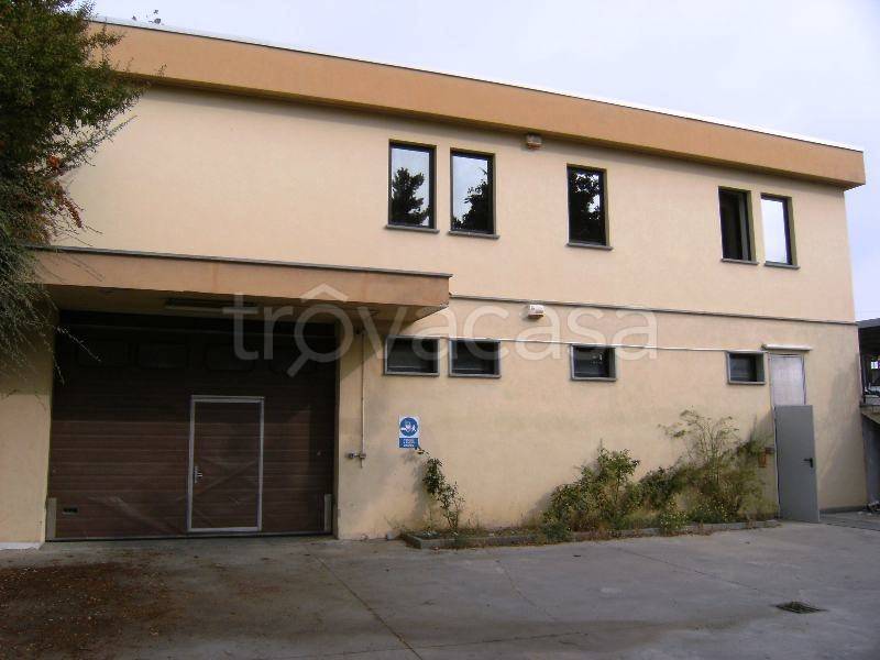 immagine annuncio 6 di 13