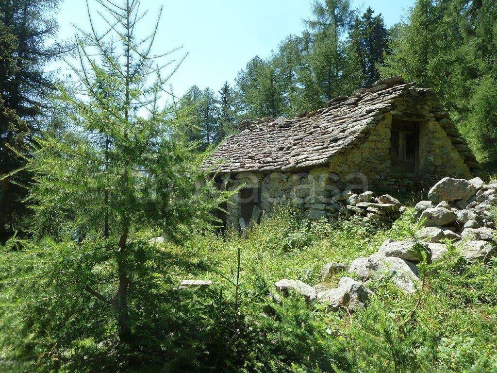 immagine annuncio 3 di 12
