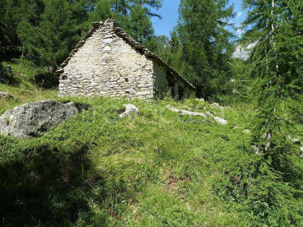 immagine annuncio 4 di 12