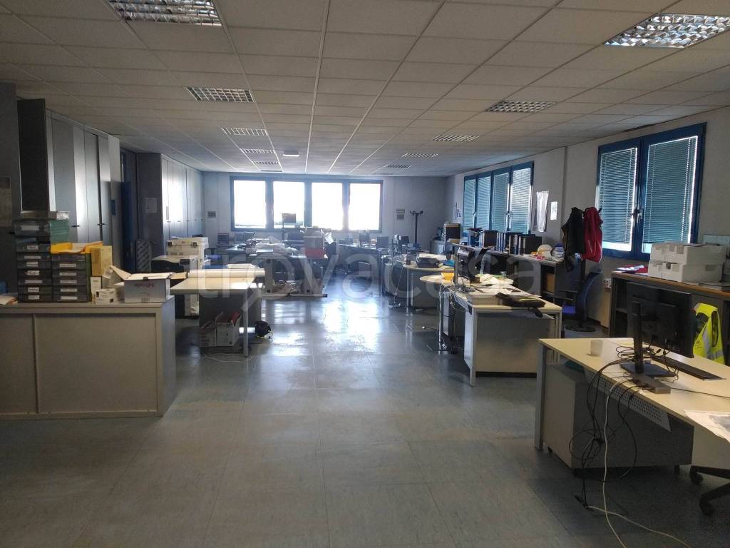 immagine annuncio 11 di 15