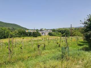 Terreno agricolo in vendita a muggia località vignano, 6