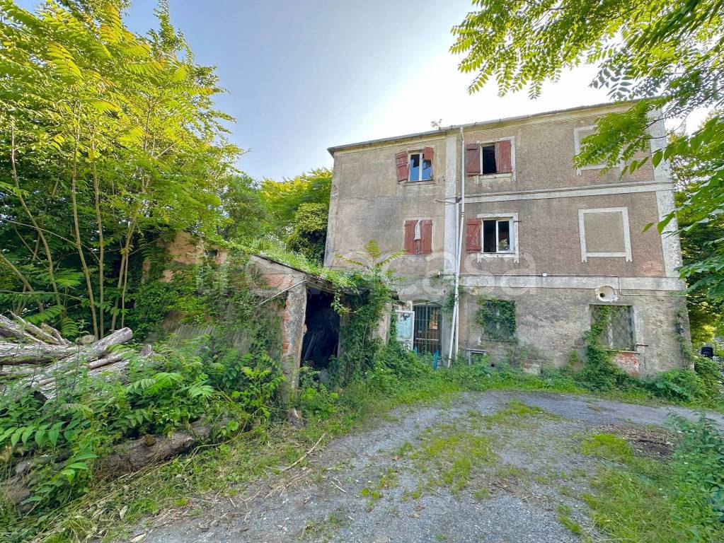 immagine annuncio 1 di 13