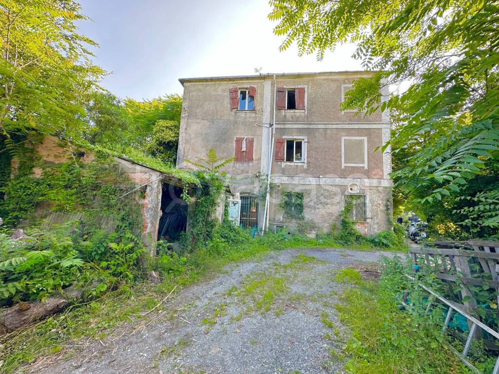 immagine annuncio 4 di 13