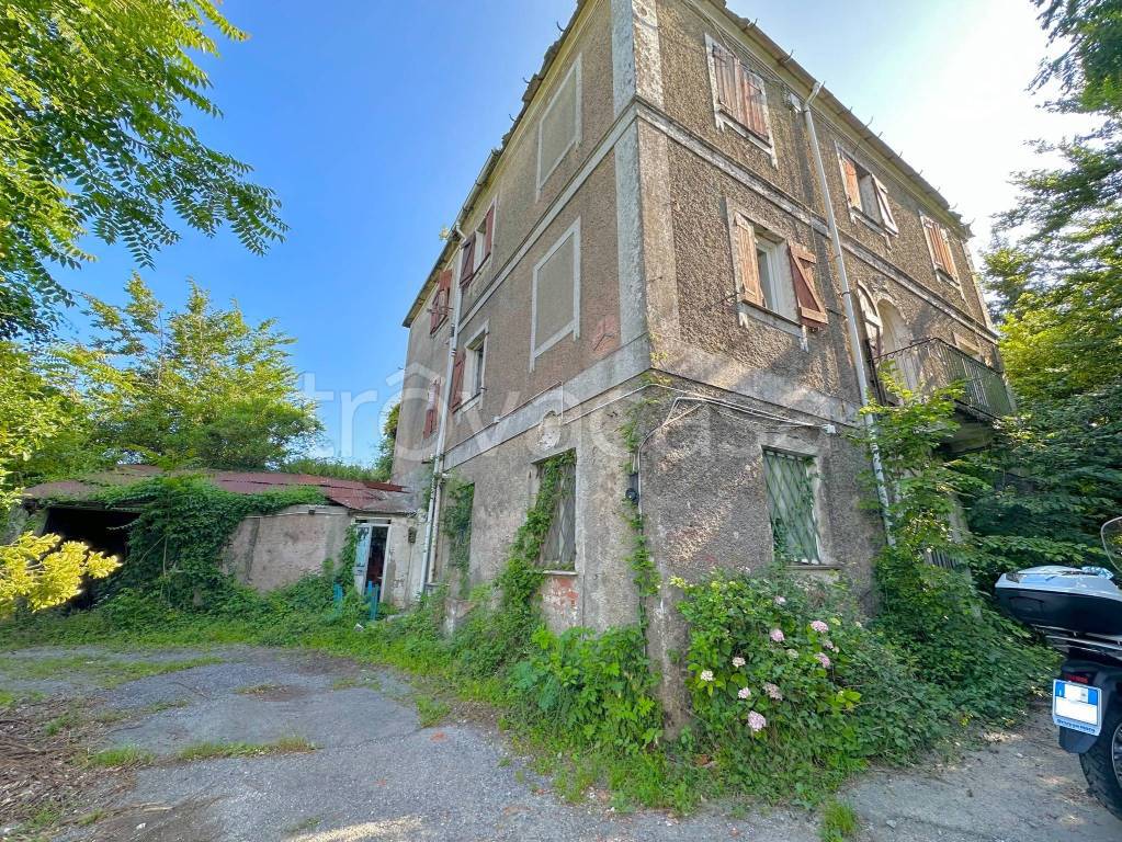 immagine annuncio 5 di 13