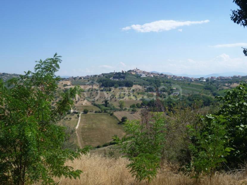 immagine annuncio 10 di 13
