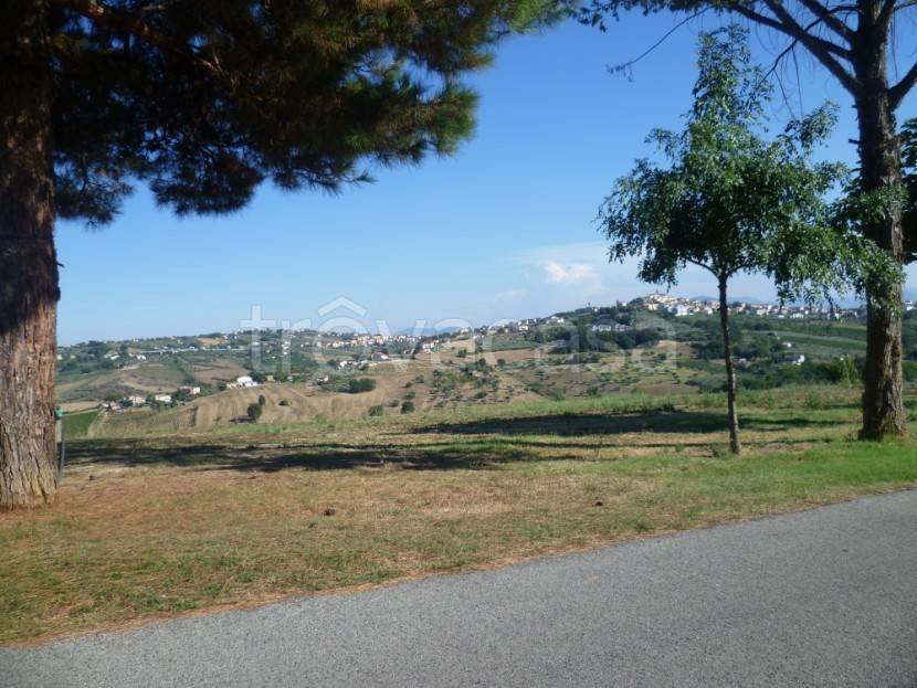 immagine annuncio 11 di 13
