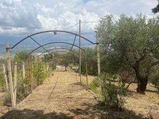 Terreno agricolo in vendita a miglionico largo mater domini, 4