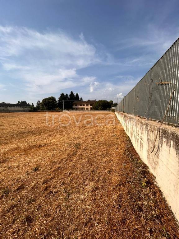 immagine annuncio 6 di 9
