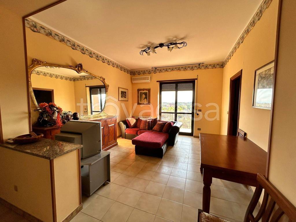 immagine annuncio 7 di 8