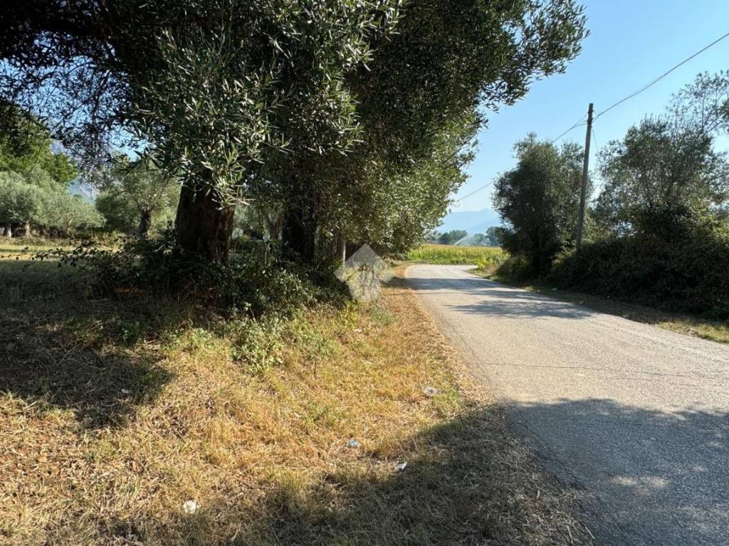 immagine annuncio 3 di 4