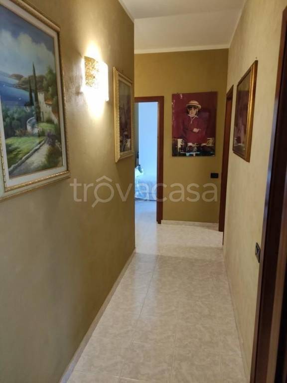 immagine annuncio 8 di 14