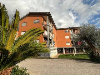 Appartamento in affitto a castrocielo via capo d'acqua