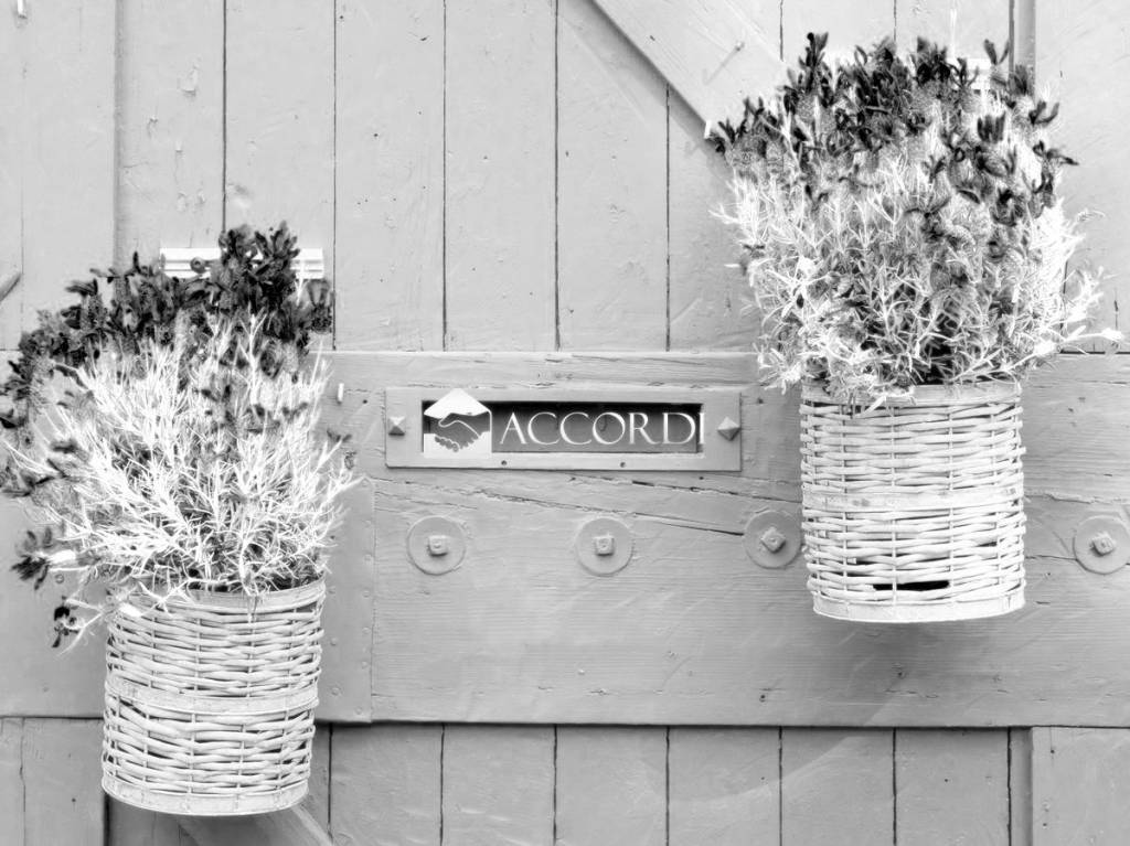 immagine annuncio 6 di 8