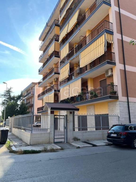 immagine annuncio 14 di 15