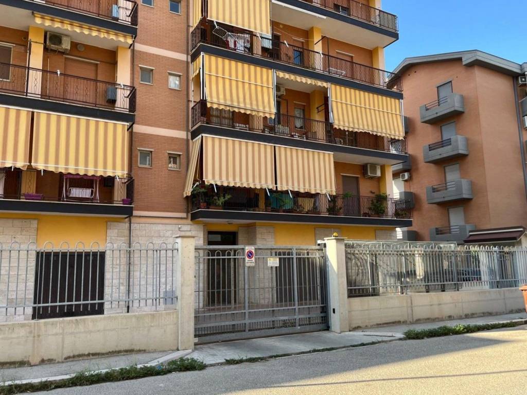 immagine annuncio 12 di 15