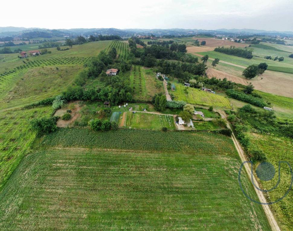 immagine annuncio 1 di 6