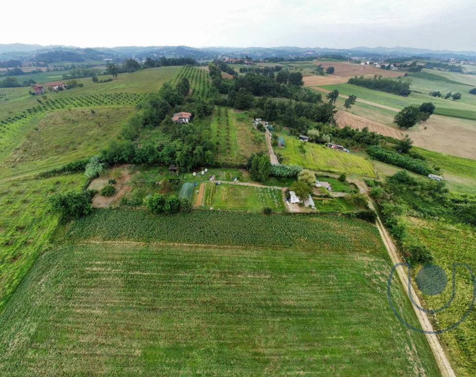 immagine annuncio 5 di 6
