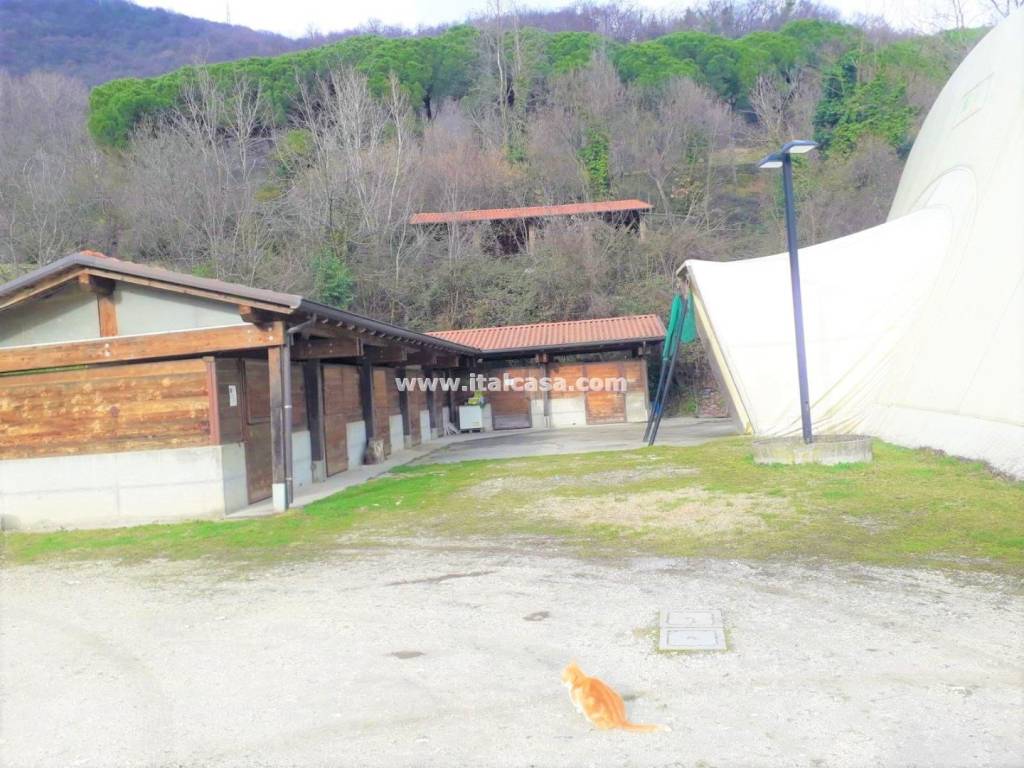 immagine annuncio 3 di 14