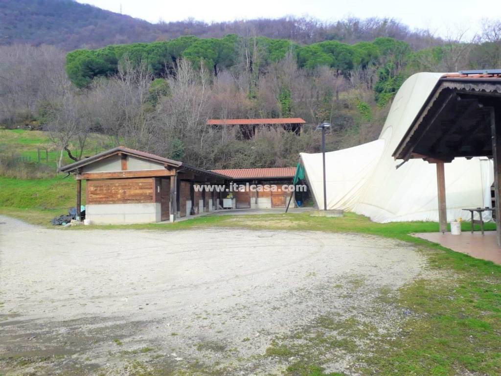 immagine annuncio 6 di 14
