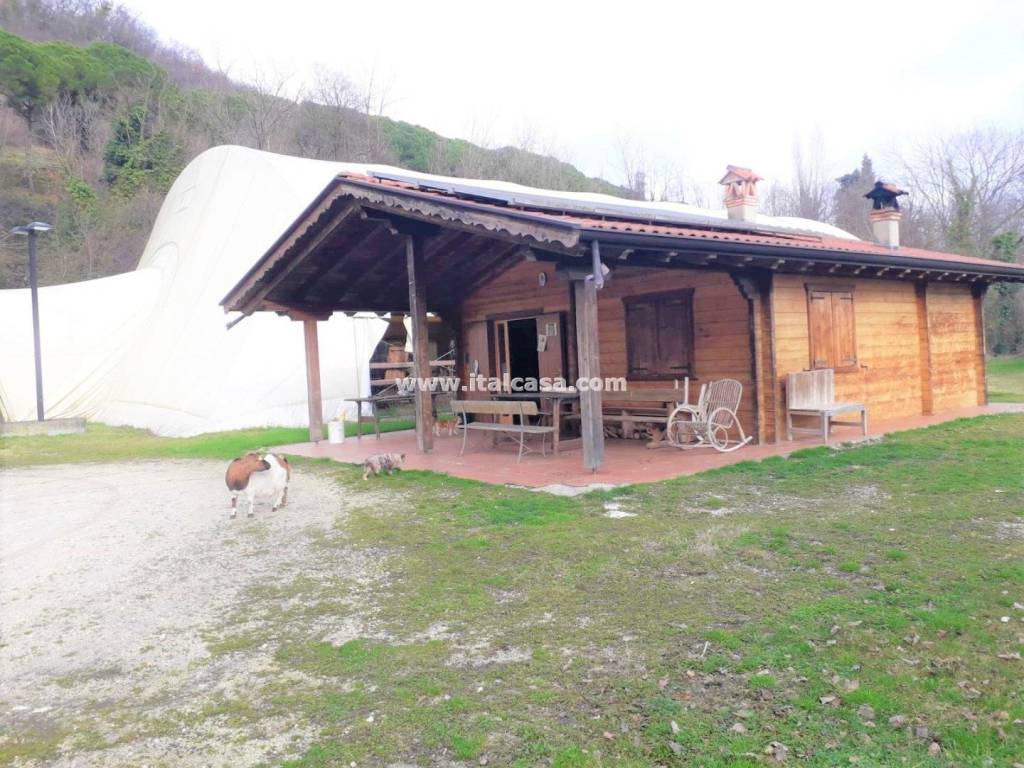 immagine annuncio 11 di 14