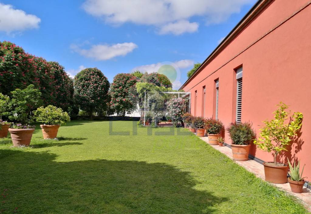 immagine annuncio 9 di 14