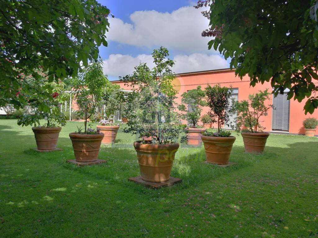 immagine annuncio 10 di 14
