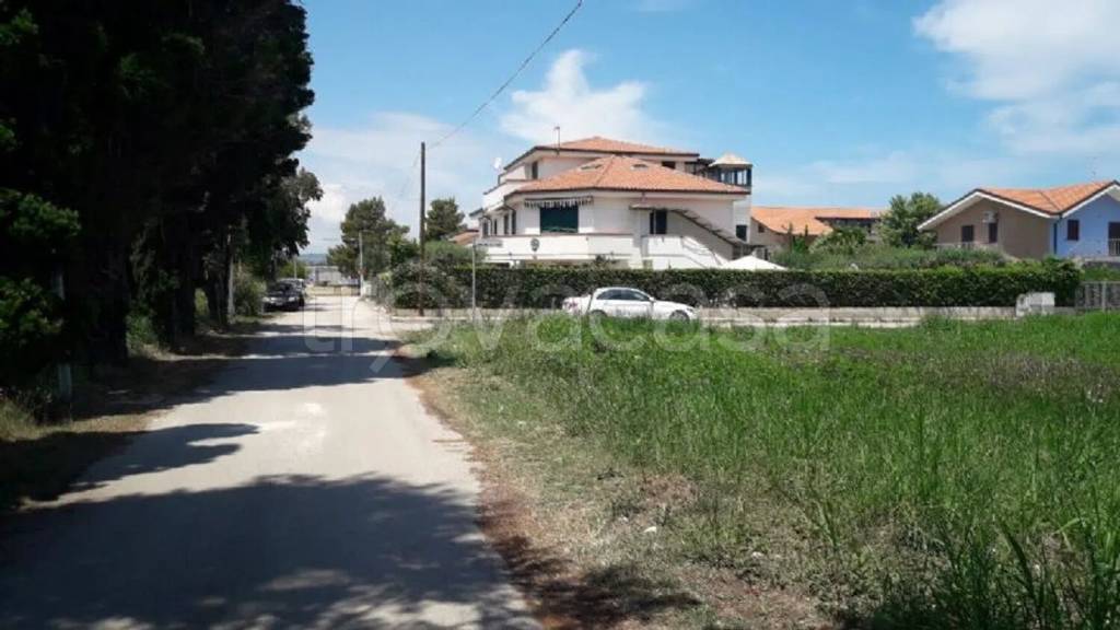 immagine annuncio 6 di 12