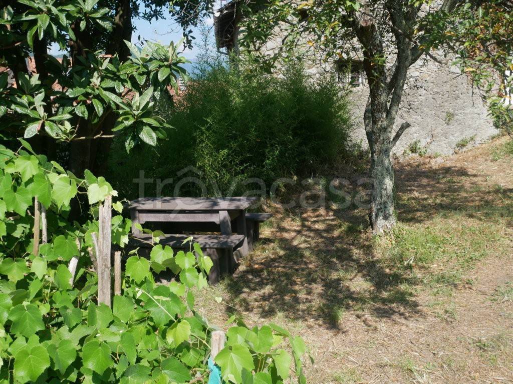 immagine annuncio 12 di 14