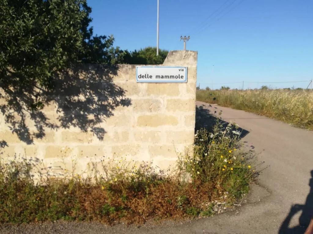 immagine annuncio 6 di 8