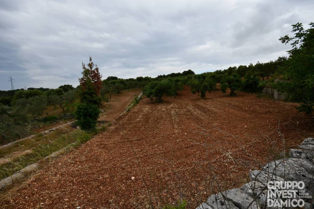 immagine annuncio 5 di 6