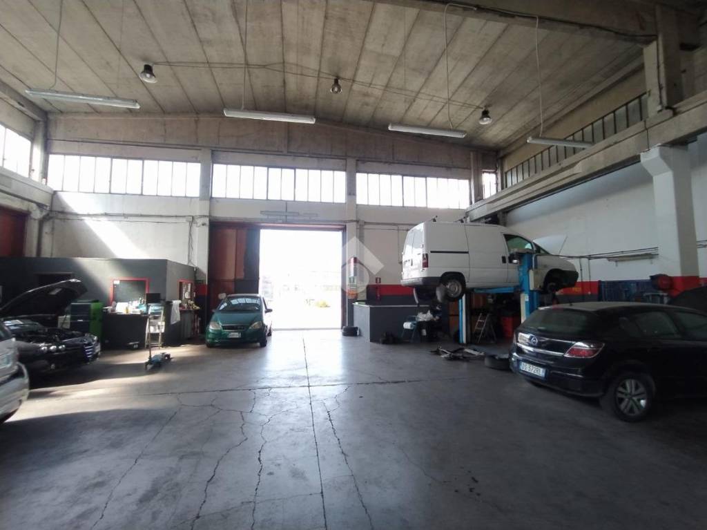 immagine annuncio 11 di 15