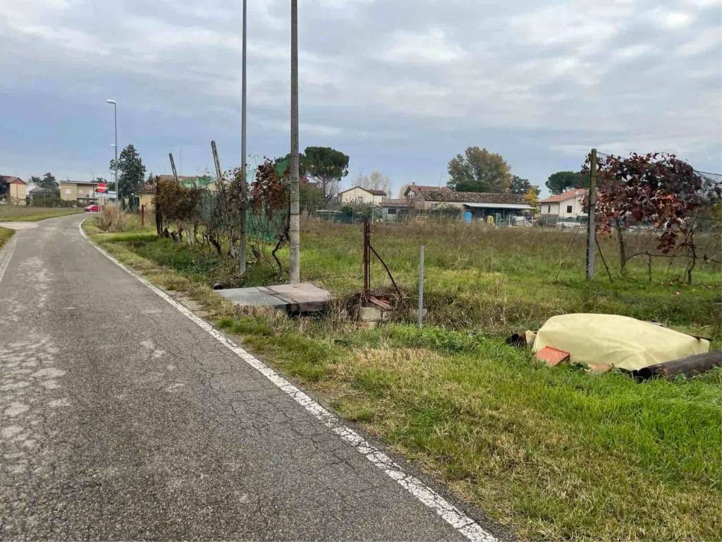 immagine annuncio 4 di 7