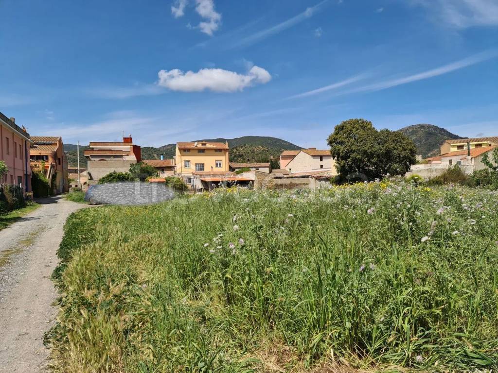 immagine annuncio 4 di 6