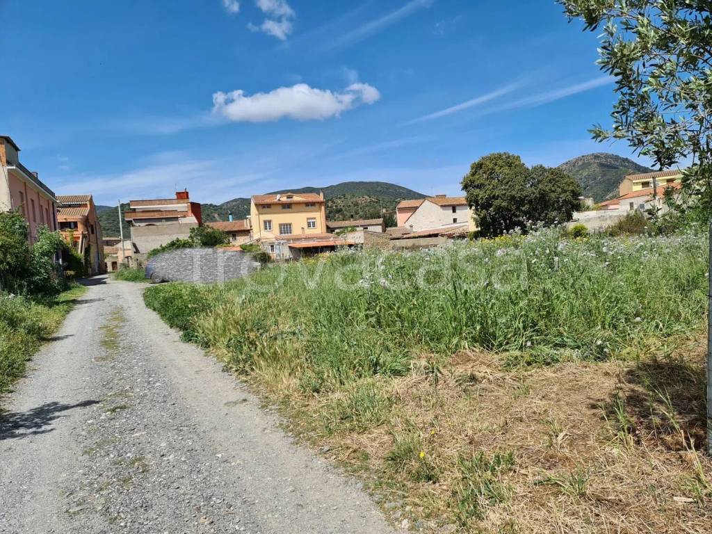 immagine annuncio 5 di 6