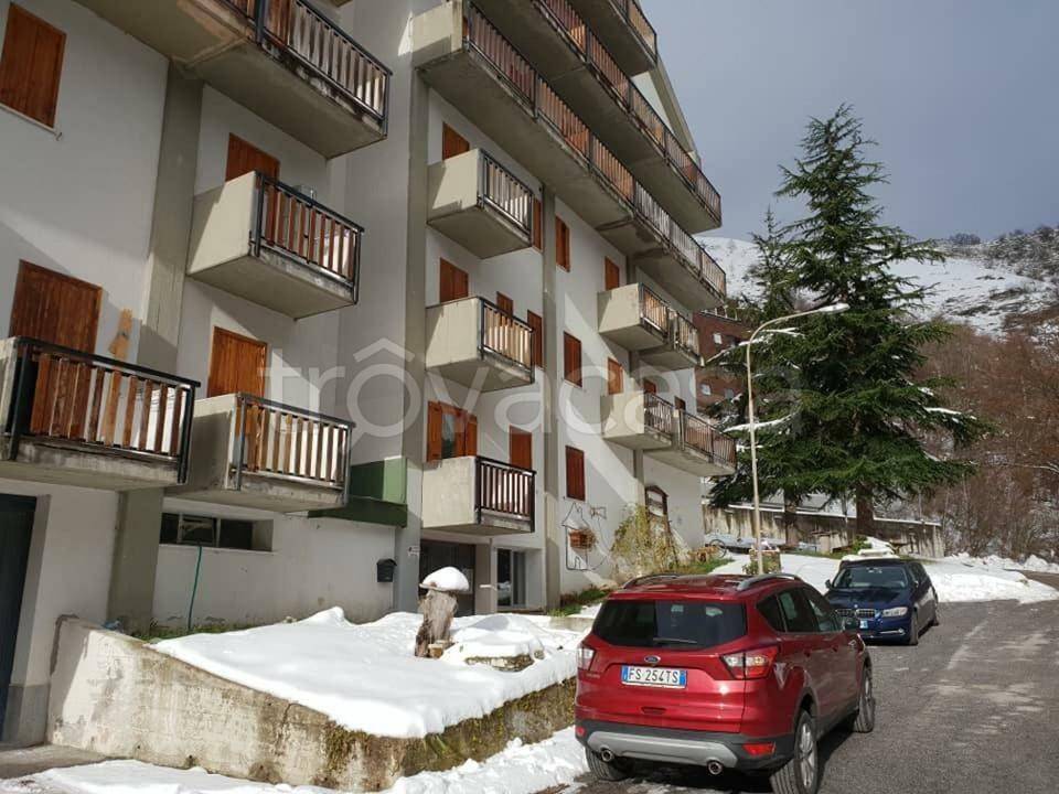 immagine annuncio 5 di 12
