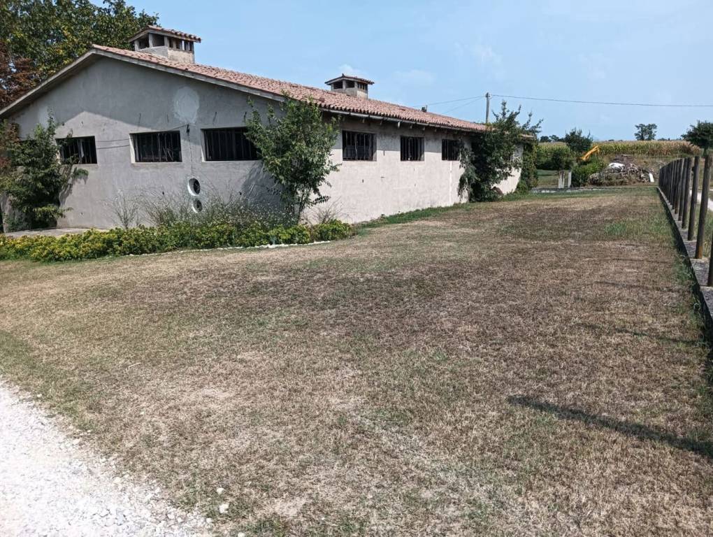 immagine annuncio 2 di 13