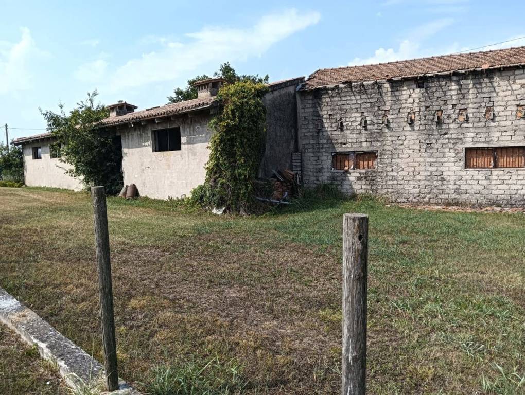 immagine annuncio 3 di 13