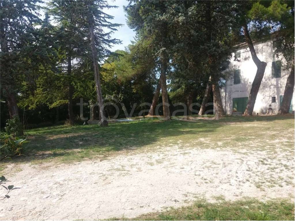 immagine annuncio 7 di 8