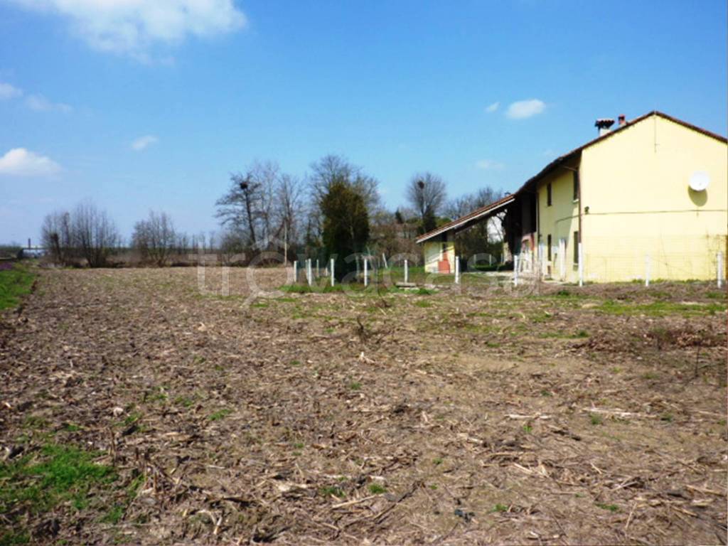 immagine annuncio 8 di 11